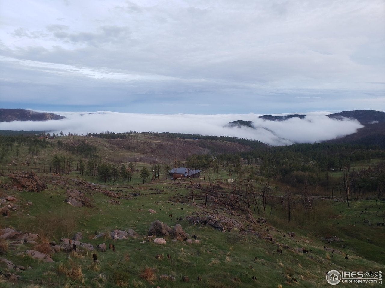 Bellvue, Colorado, 80512, United States, 4 Bedrooms Bedrooms, ,3 BathroomsBathrooms,Residential,Active,1834310