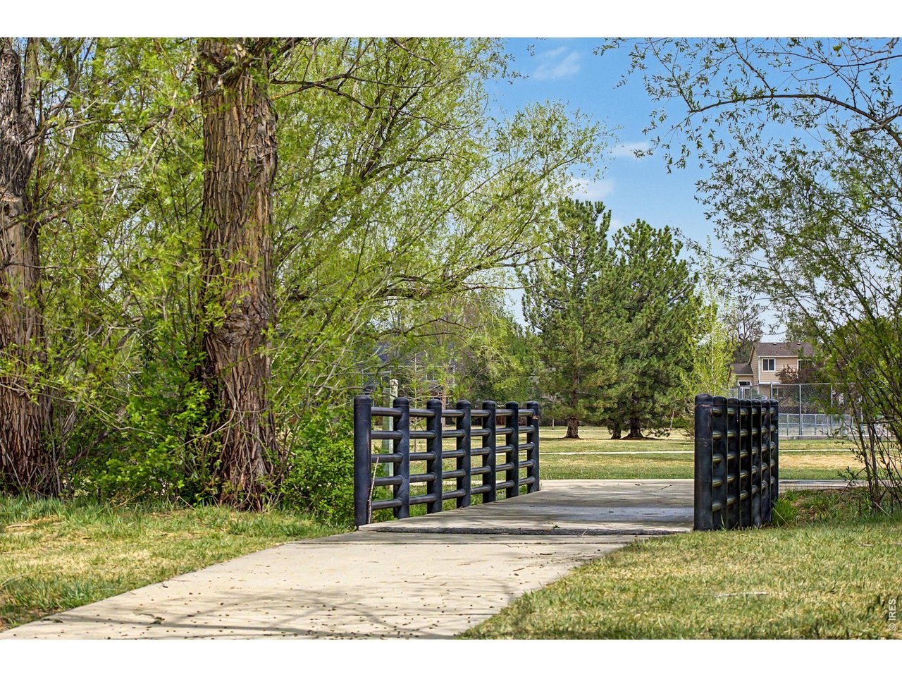Longmont, Colorado, 80503, United States, 5 Bedrooms Bedrooms, ,5 BathroomsBathrooms,Residential,Active,2042652