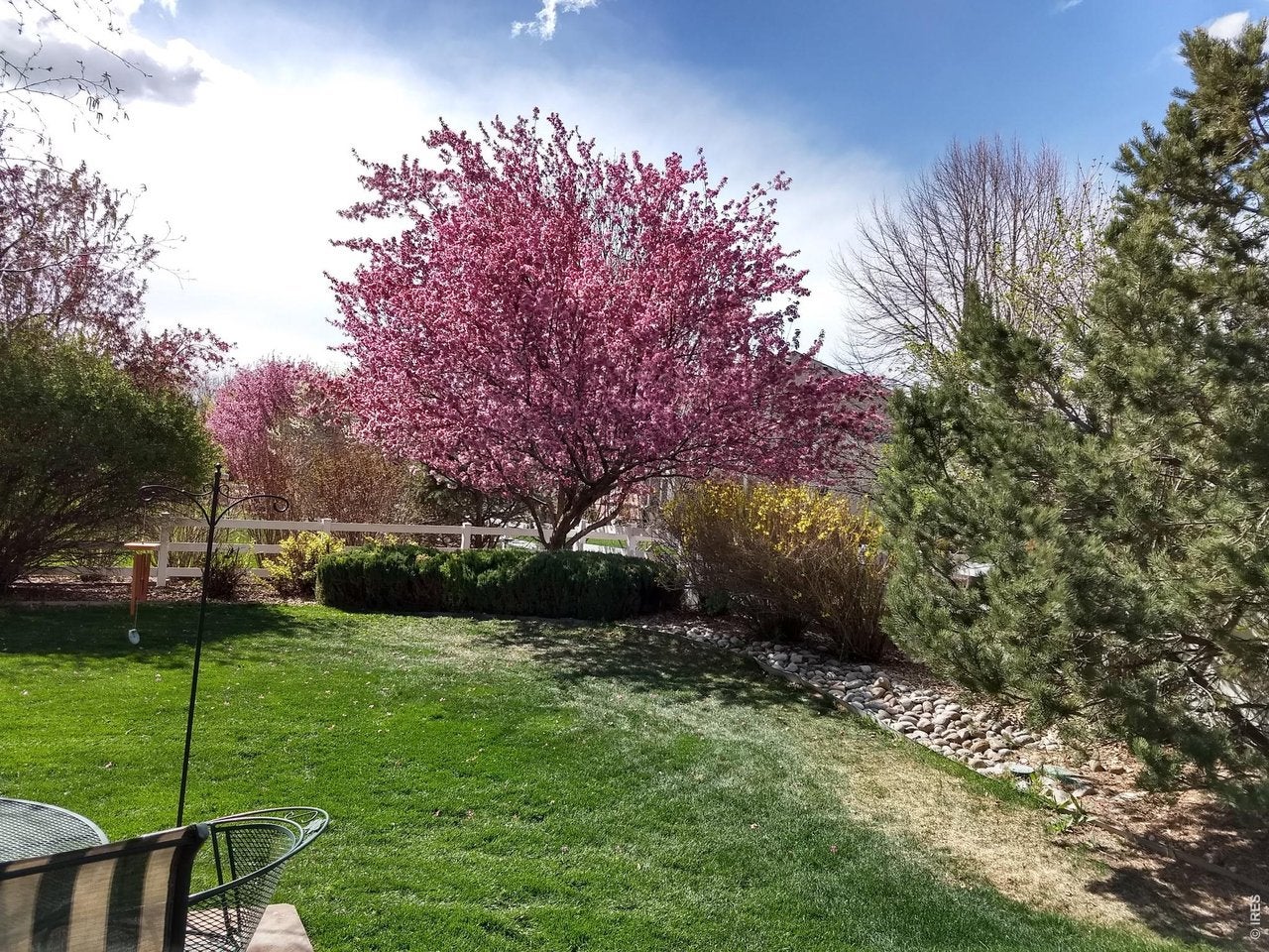 Longmont, Colorado, 80503, United States, 5 Bedrooms Bedrooms, ,5 BathroomsBathrooms,Residential,Active,2042652