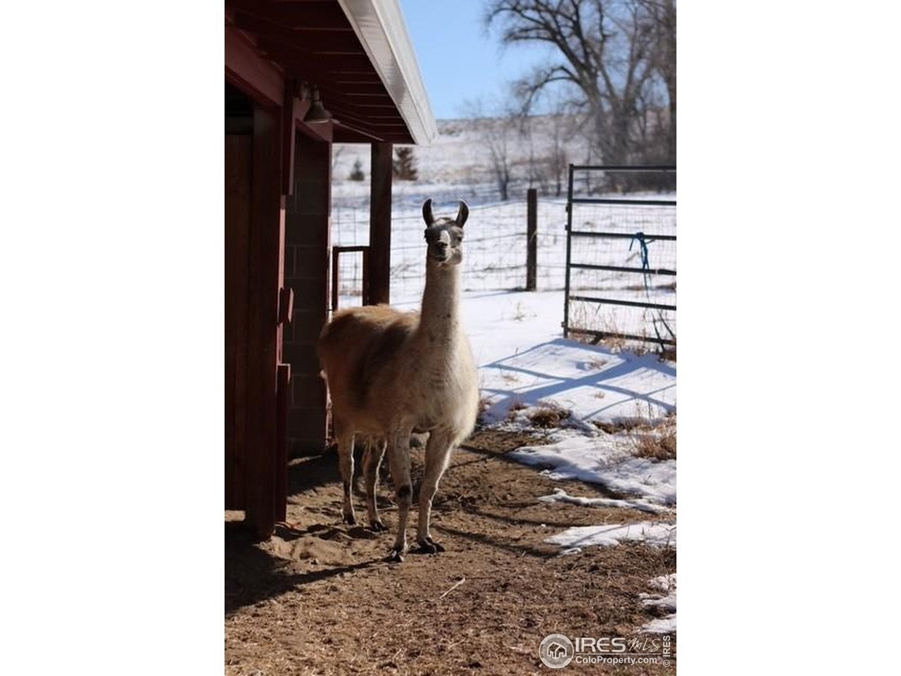 Boulder, Colorado, 80303, United States, 5 Bedrooms Bedrooms, ,3 BathroomsBathrooms,Residential,Active,2010540