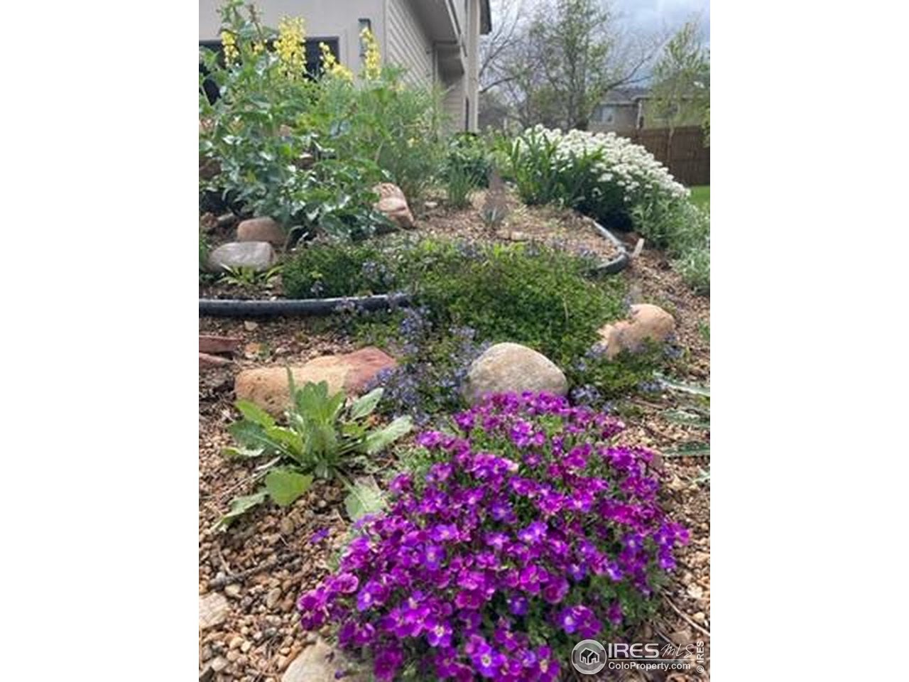 Boulder, Colorado, 80304, United States, 5 Bedrooms Bedrooms, ,4 BathroomsBathrooms,Residential,Active,1996274