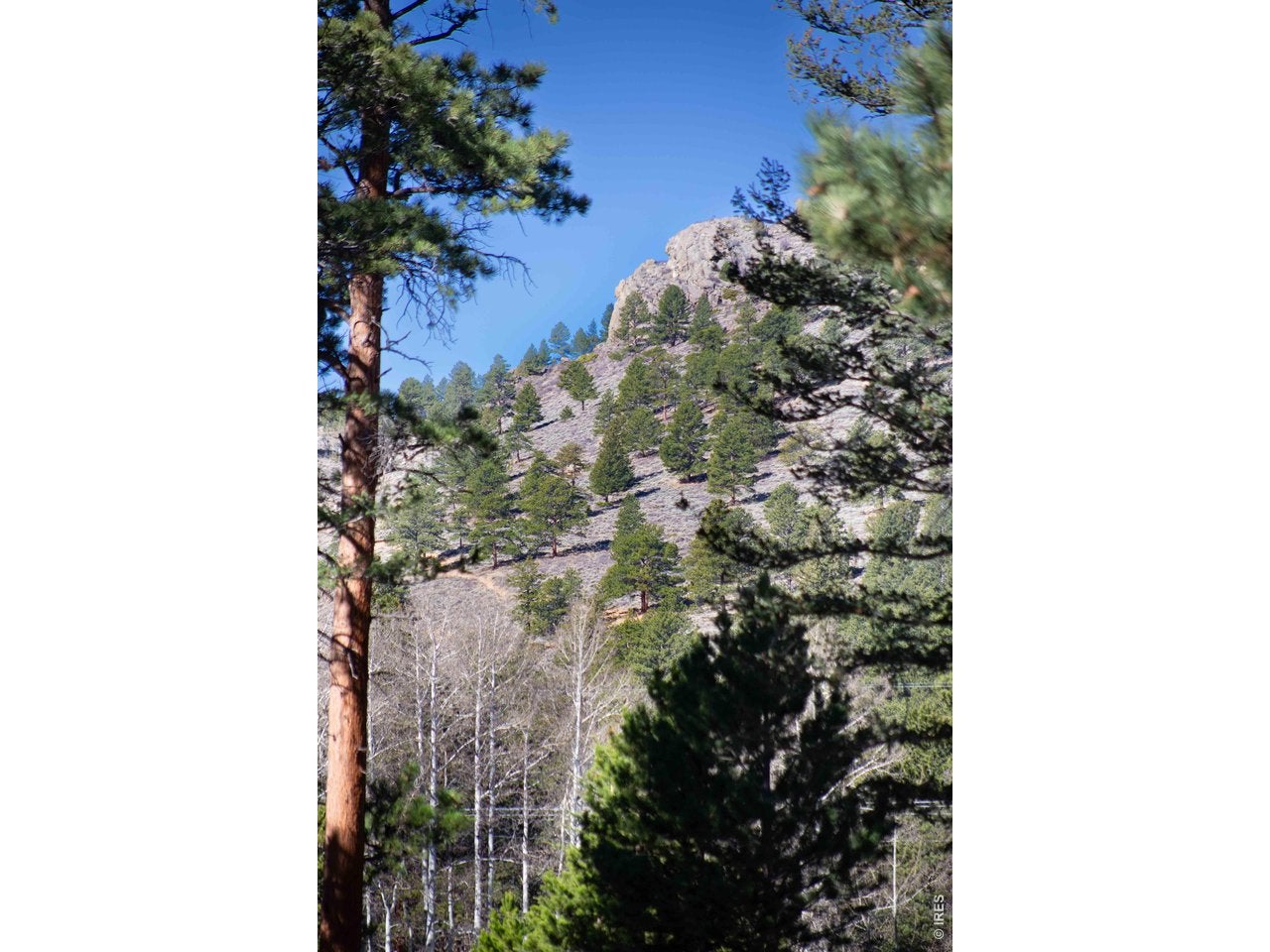 Estes Park, Colorado, 80517, United States, 3 Bedrooms Bedrooms, ,2 BathroomsBathrooms,Residential,Active,2030600