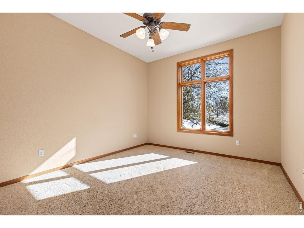 Brighton, Colorado, 80602, United States, 4 Bedrooms Bedrooms, ,3 BathroomsBathrooms,Residential,Active,2025211