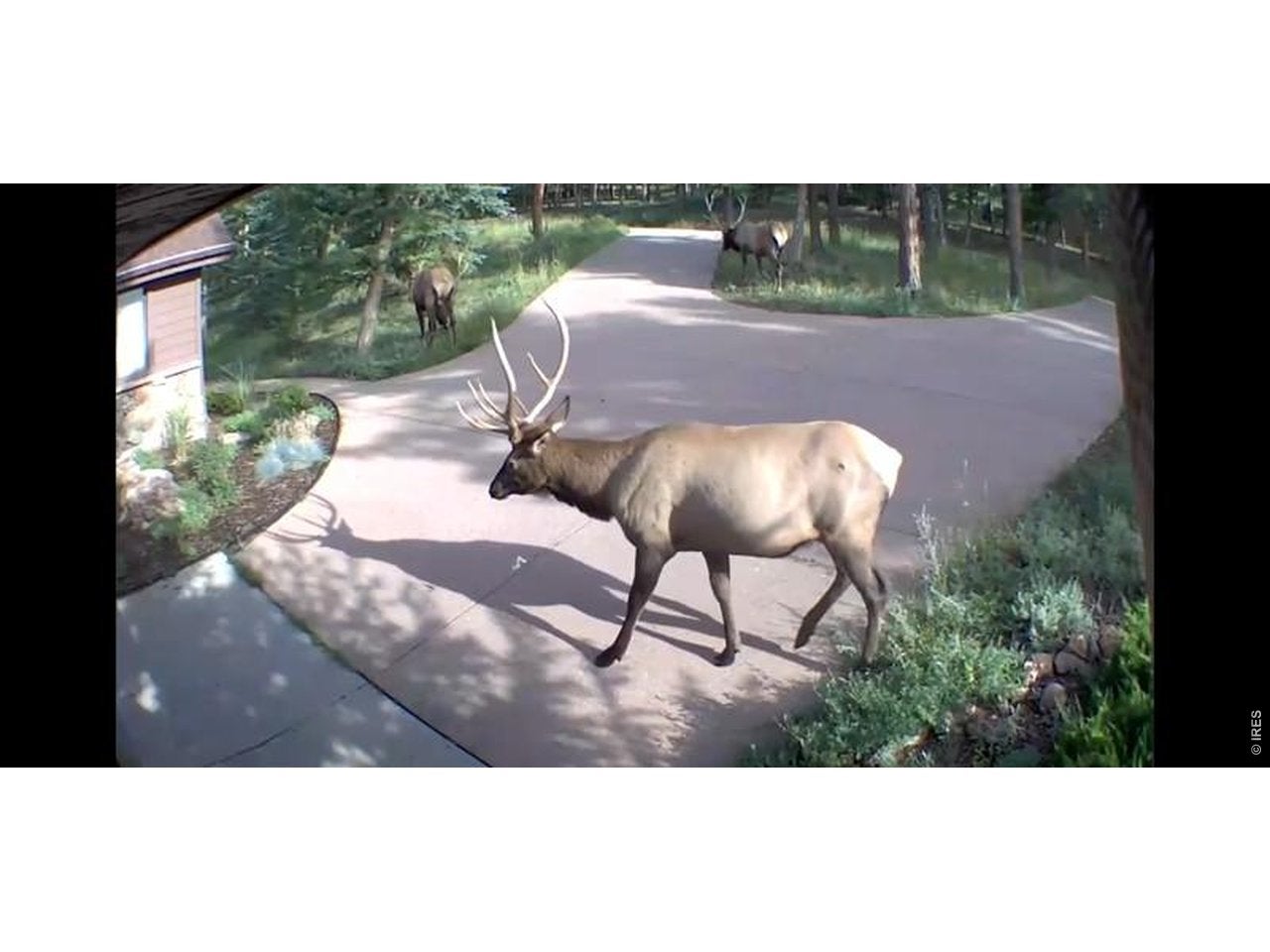 Estes Park, Colorado, 80517, United States, 3 Bedrooms Bedrooms, ,2 BathroomsBathrooms,Residential,Active,2030600