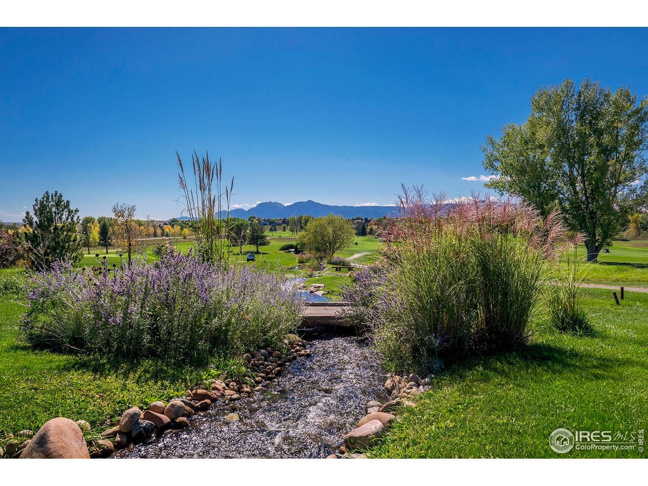 Longmont, Colorado, 80503, United States, 3 Bedrooms Bedrooms, ,3 BathroomsBathrooms,Residential,Contingent,1997617