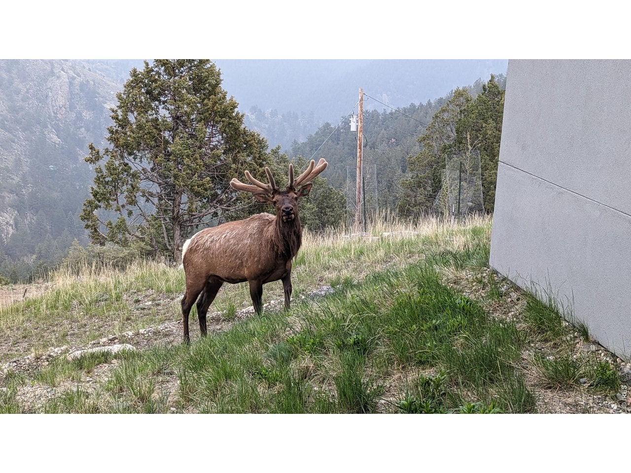 Glen Haven, Colorado, 80532, United States, 2 Bedrooms Bedrooms, ,2 BathroomsBathrooms,Residential,Active,2028533