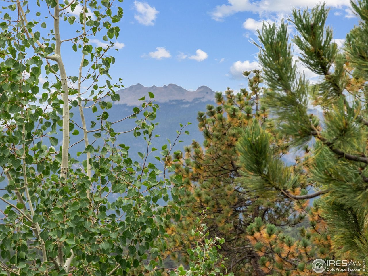 Estes Park, Colorado, 80517, United States, 5 Bedrooms Bedrooms, ,4 BathroomsBathrooms,Residential,Contingent,1824567