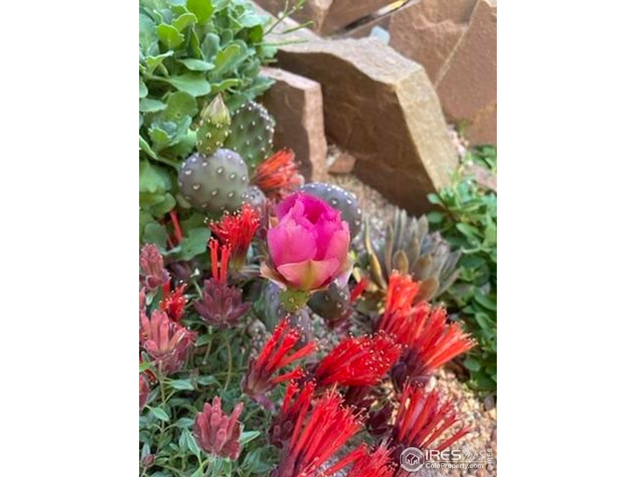 Boulder, Colorado, 80304, United States, 5 Bedrooms Bedrooms, ,4 BathroomsBathrooms,Residential,Active,1996274