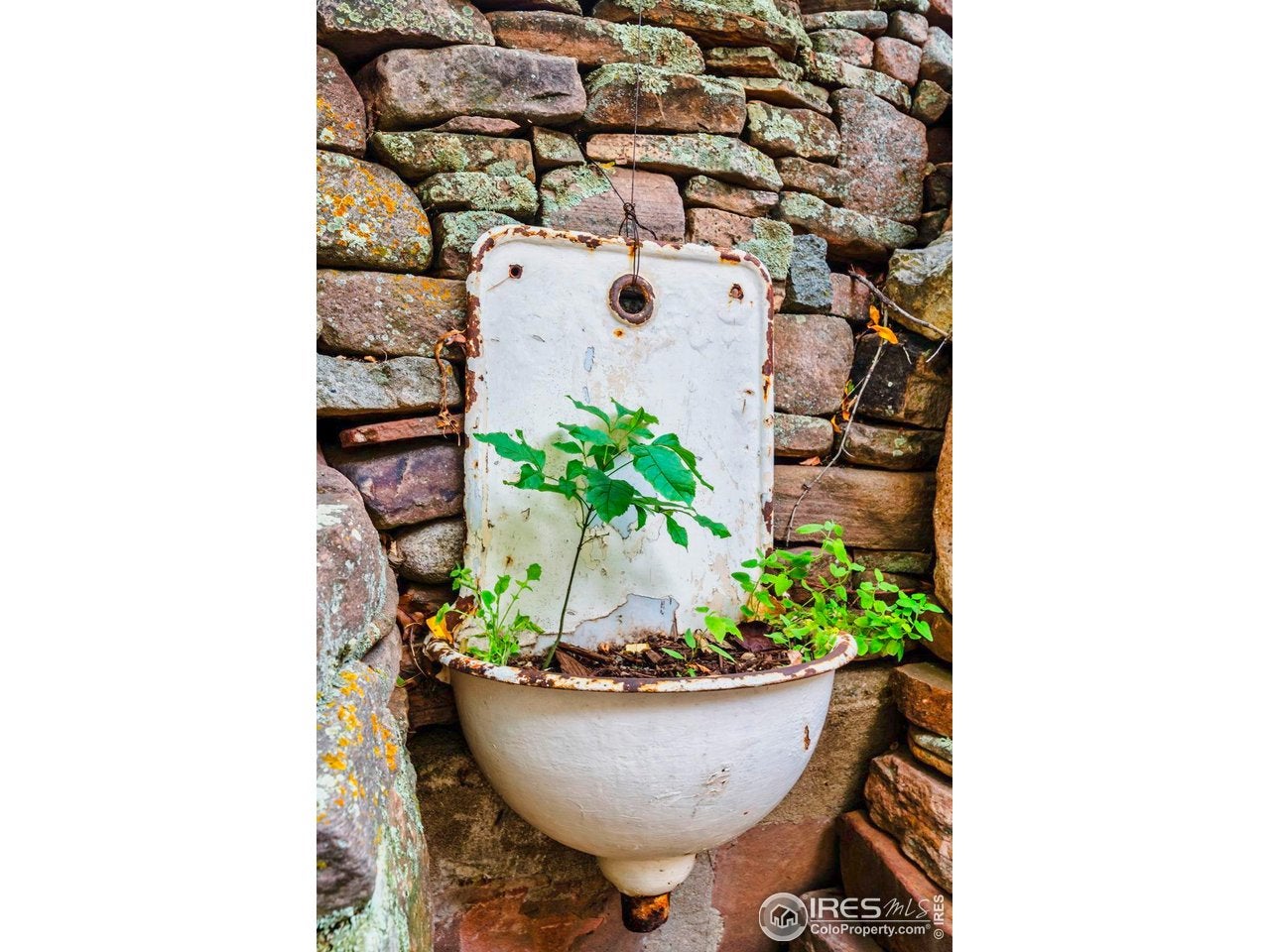 Boulder, Colorado, 80304, United States, 3 Bedrooms Bedrooms, ,3 BathroomsBathrooms,Residential,Active,2007953