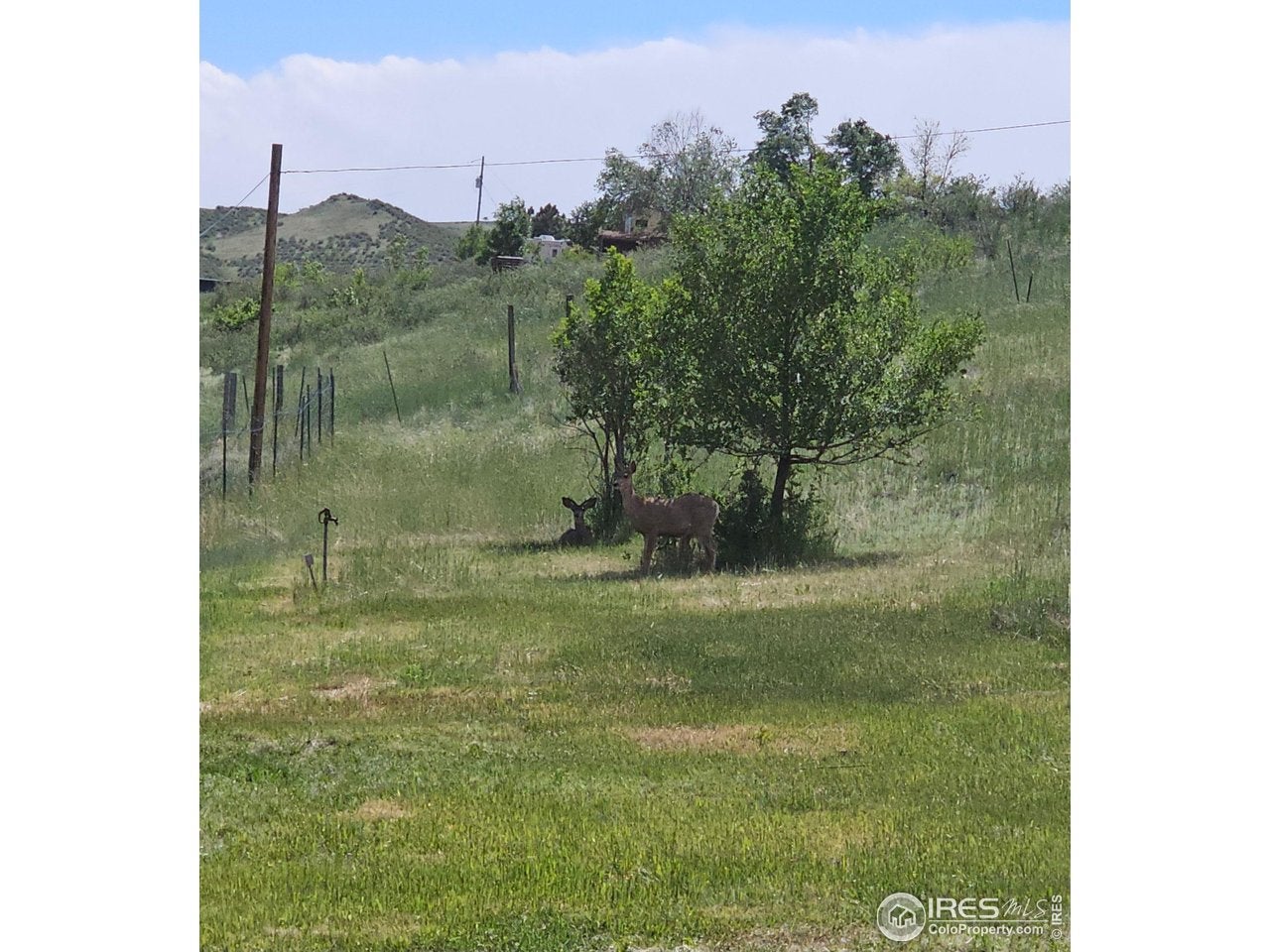Loveland, Colorado, 80537, United States, 5 Bedrooms Bedrooms, ,2 BathroomsBathrooms,Residential,Active,1877833
