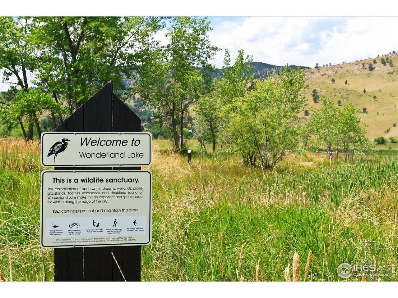 Boulder, Colorado, 80304, United States, 5 Bedrooms Bedrooms, ,4 BathroomsBathrooms,Residential,Active,1996274