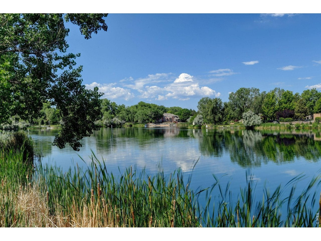 Thornton, Colorado, 80241, United States, 5 Bedrooms Bedrooms, ,5 BathroomsBathrooms,Residential,Active,2035050