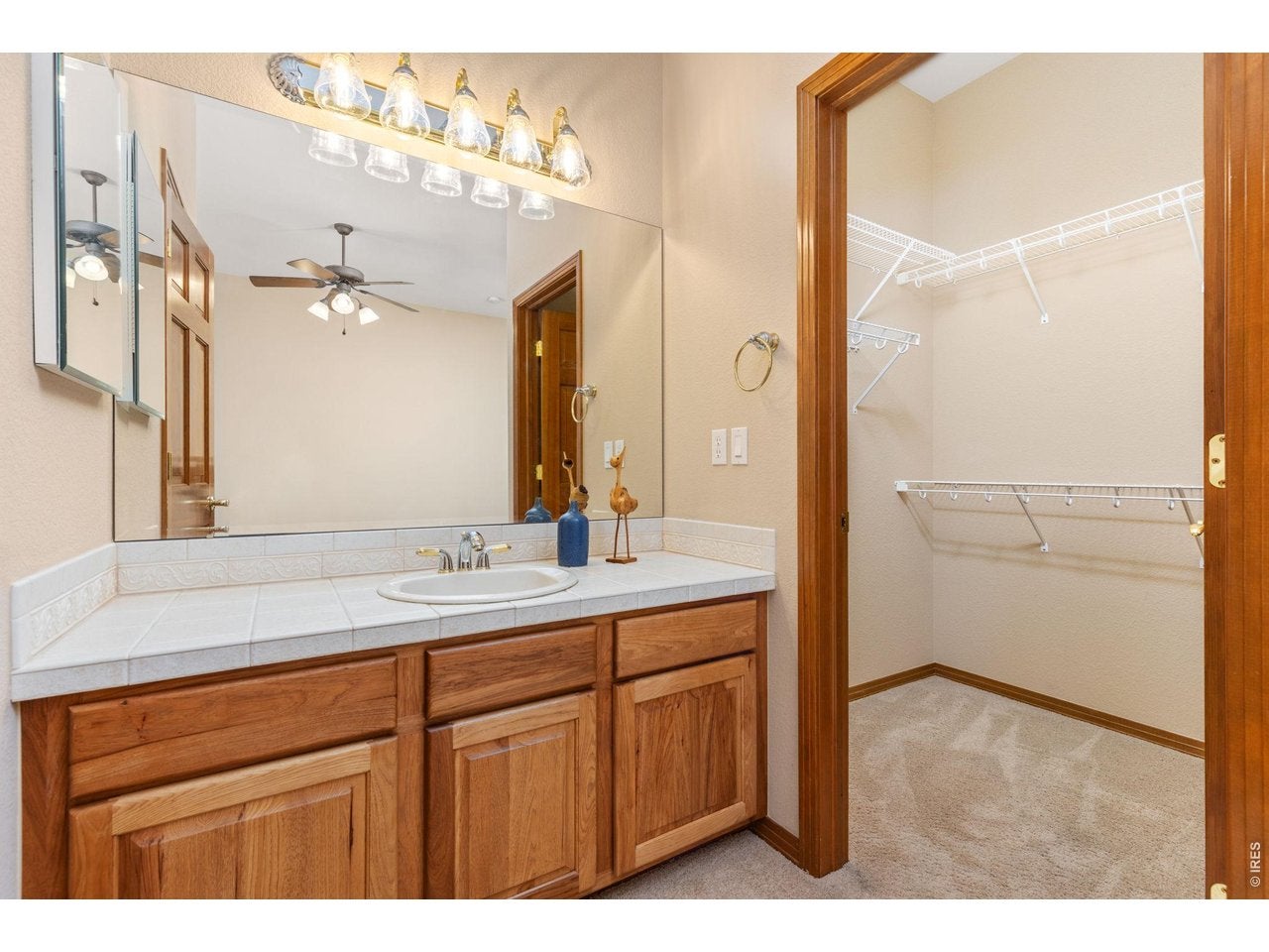 Brighton, Colorado, 80602, United States, 4 Bedrooms Bedrooms, ,3 BathroomsBathrooms,Residential,Active,2025211