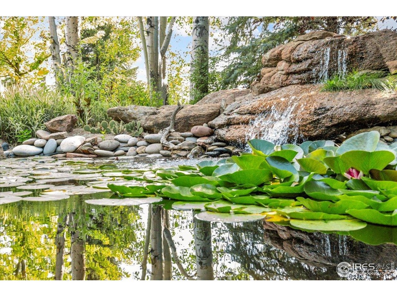 Fort Collins, Colorado, 80525, United States, 5 Bedrooms Bedrooms, ,5 BathroomsBathrooms,Residential,Active,1909082