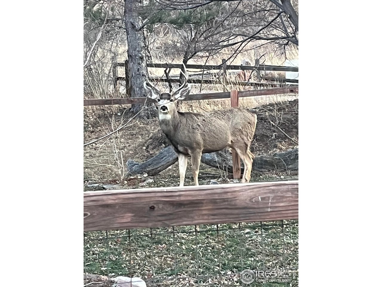 Boulder, Colorado, 80303, United States, 4 Bedrooms Bedrooms, ,4 BathroomsBathrooms,Residential,Active,2007975
