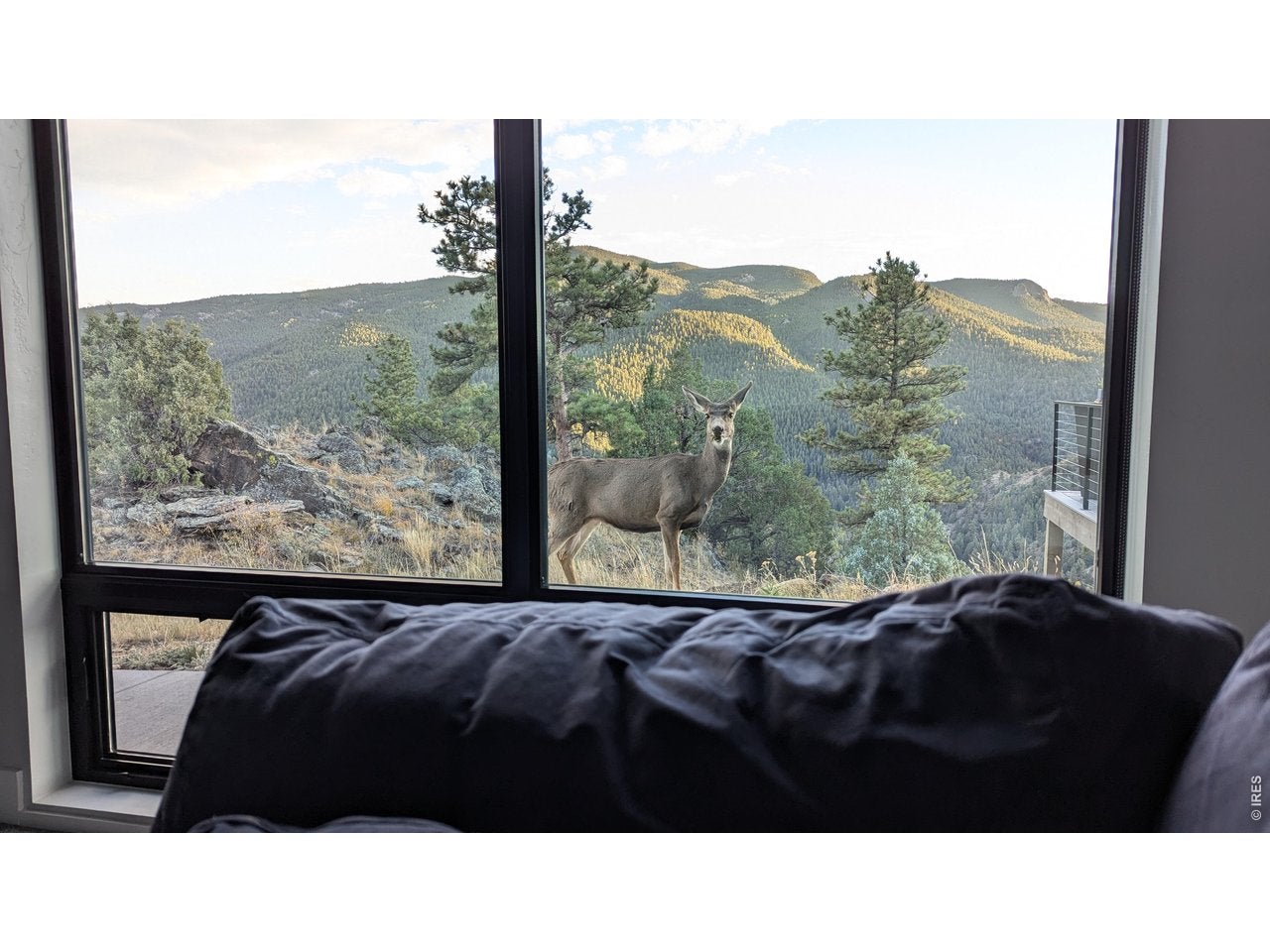 Glen Haven, Colorado, 80532, United States, 2 Bedrooms Bedrooms, ,2 BathroomsBathrooms,Residential,Active,2028533