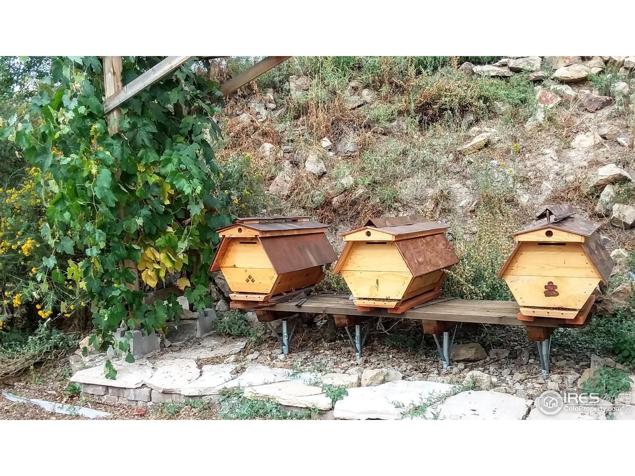 Loveland, Colorado, 80537, United States, 5 Bedrooms Bedrooms, ,2 BathroomsBathrooms,Residential,Active,1877833