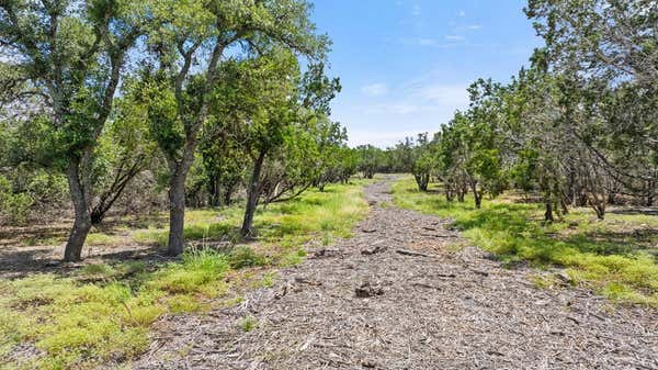 LOT 5 GILLESPIE RIDGE DR, HARPER, TX 78058, photo 4 of 11