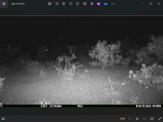 189 RR OTHER, COMSTOCK, TX 78840, photo 2 of 29