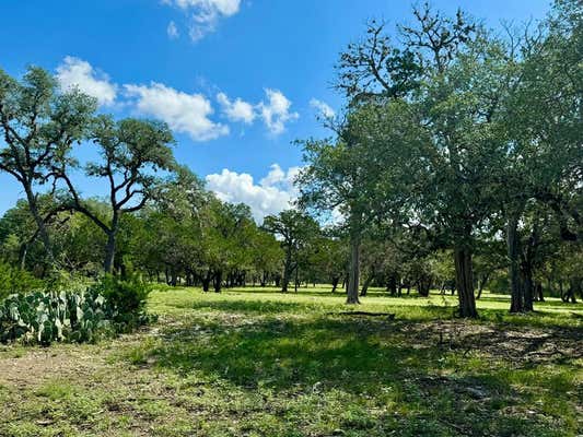 101 PATTERSON DR, LEAKEY, TX 78873 - Image 1