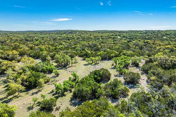 413 ANTLER TRL, HARPER, TX 78631, photo 3 of 34