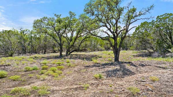 LOT 5 GILLESPIE RIDGE DR, HARPER, TX 78058, photo 3 of 11