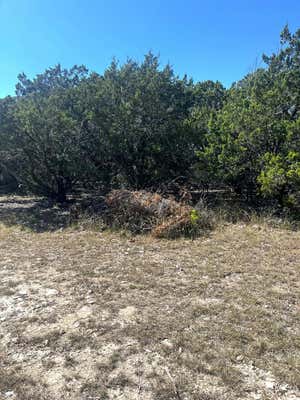 10254 RANCH ROAD 336, LEAKEY, TX 78873, photo 2 of 24