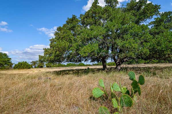 21 LEGACY OAKS DR # 21, HARPER, TX 78631 - Image 1