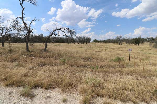 40 NOTT BRANCH RD, HARPER, TX 78631, photo 2 of 7