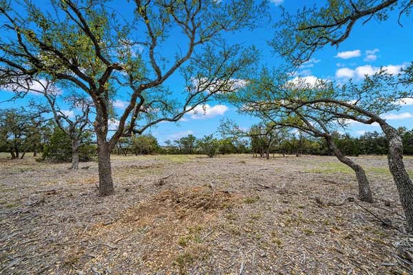 LOT 5 GILLESPIE RIDGE DR, HARPER, TX 78058, photo 2 of 11