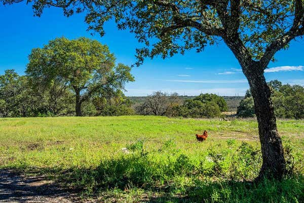 342 MEALY SAGE RD, HARPER, TX 78631, photo 2 of 75