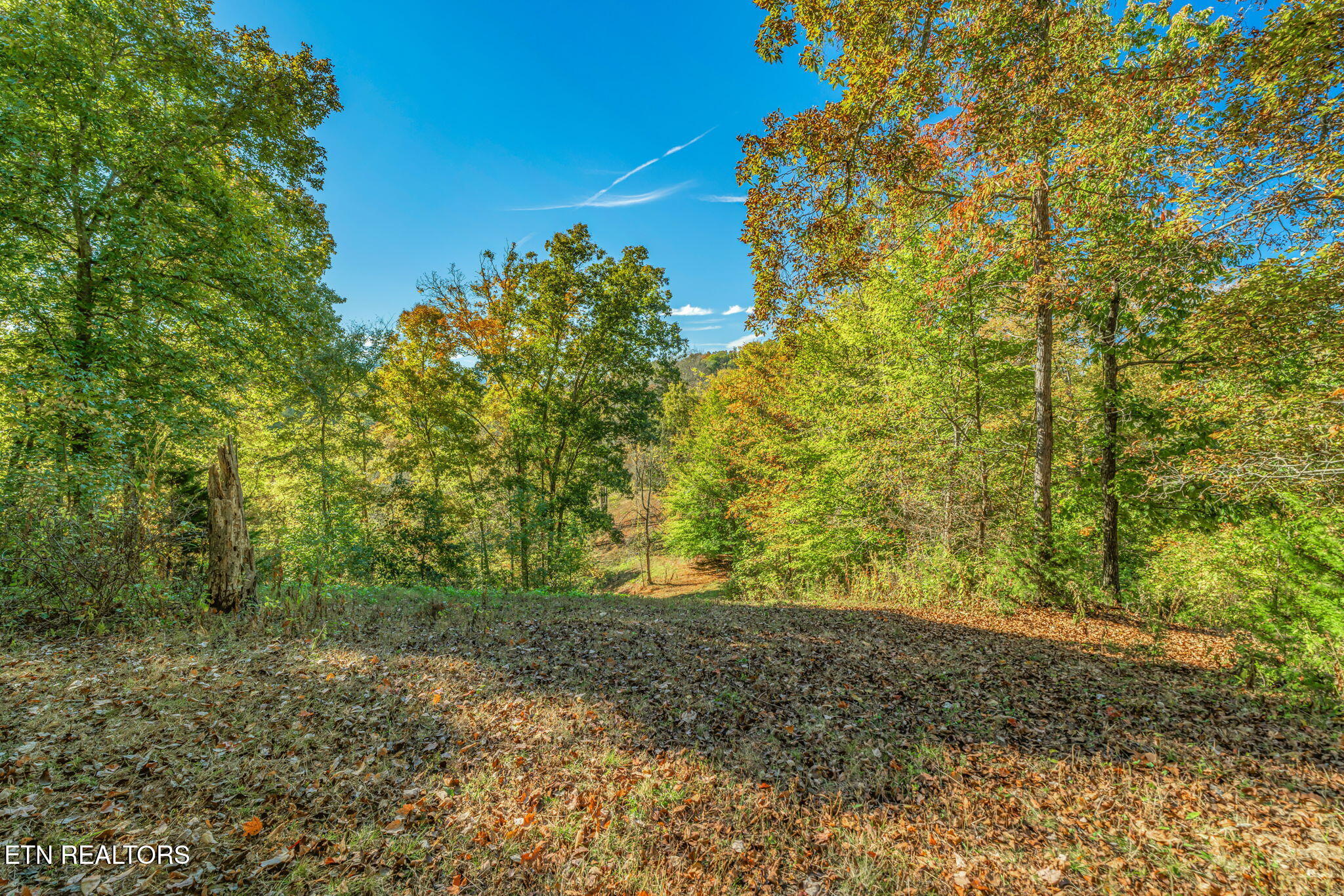 Seymour, Tennessee, 37865, United States, 2 Bedrooms Bedrooms, ,2 BathroomsBathrooms,Residential,Active,1966023