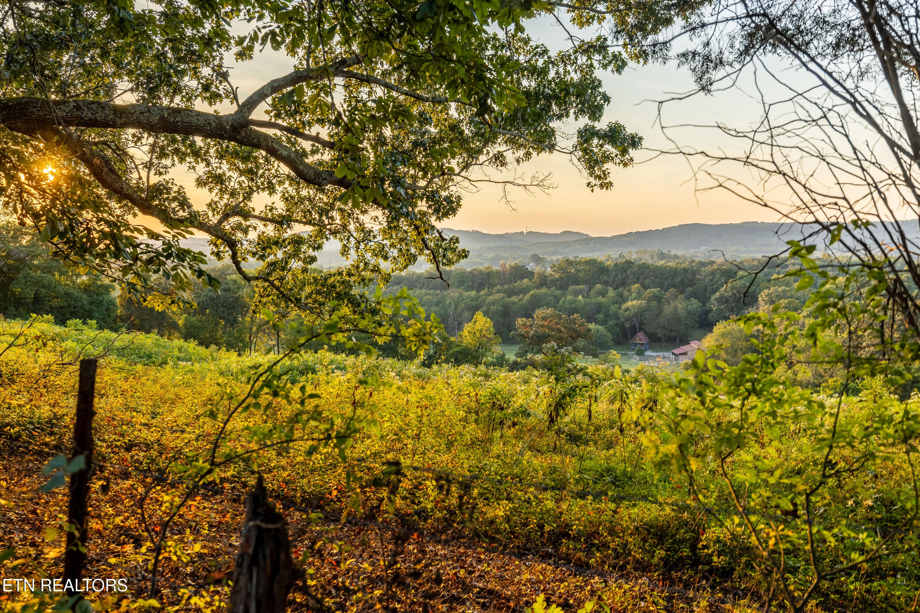 Maryville, Tennessee, 37804, United States, 2 Bedrooms Bedrooms, ,1 BathroomBathrooms,Residential,Active,1945541