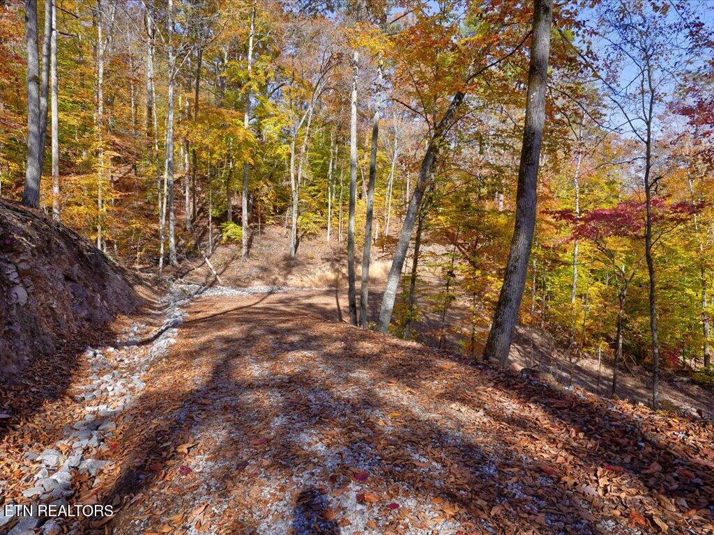 New Tazewell, Tennessee, 37825, United States, 2 Bedrooms Bedrooms, ,2 BathroomsBathrooms,Residential,Active,2007646