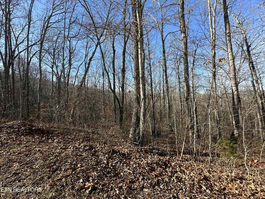 LOT 39 KAYS DRIVE, LAFOLLETTE, TN 37766, photo 4 of 6