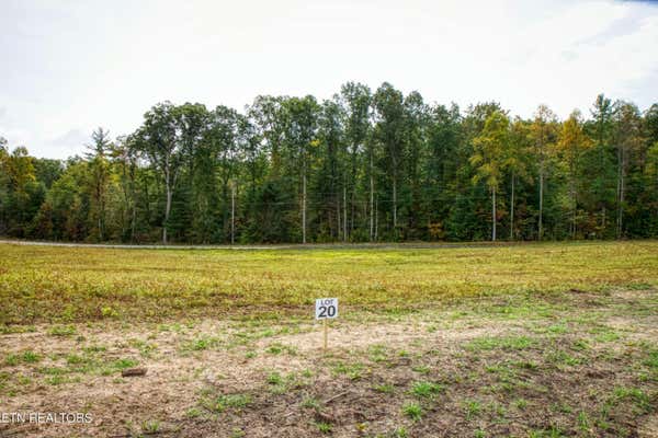 LOT 20 OLD MOUNT HELEN RD, ALLARDT, TN 38504 - Image 1