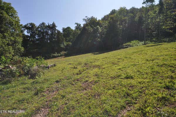 LOT 2 OLD SPRINGS RD, MAYNARDVILLE, TN 37807 - Image 1