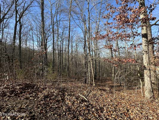 LOT 39 KAYS DRIVE, LAFOLLETTE, TN 37766, photo 5 of 6