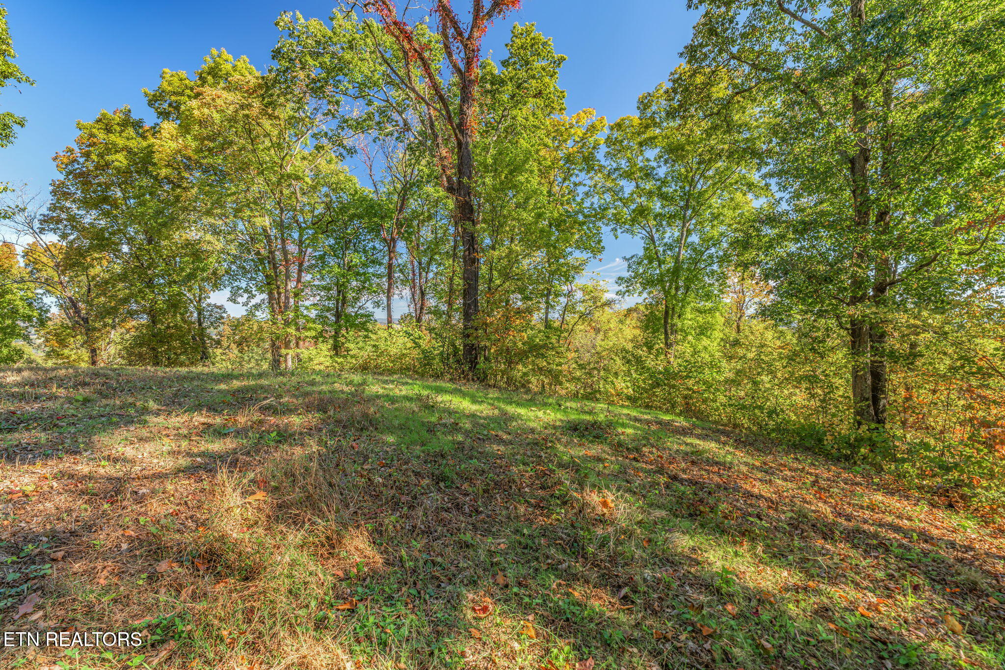 Seymour, Tennessee, 37865, United States, 2 Bedrooms Bedrooms, ,2 BathroomsBathrooms,Residential,Active,1966023