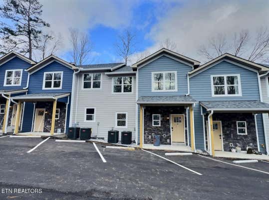 522 LINDSEY MILL CIR # 3, ROCKY TOP, TN 37769 - Image 1