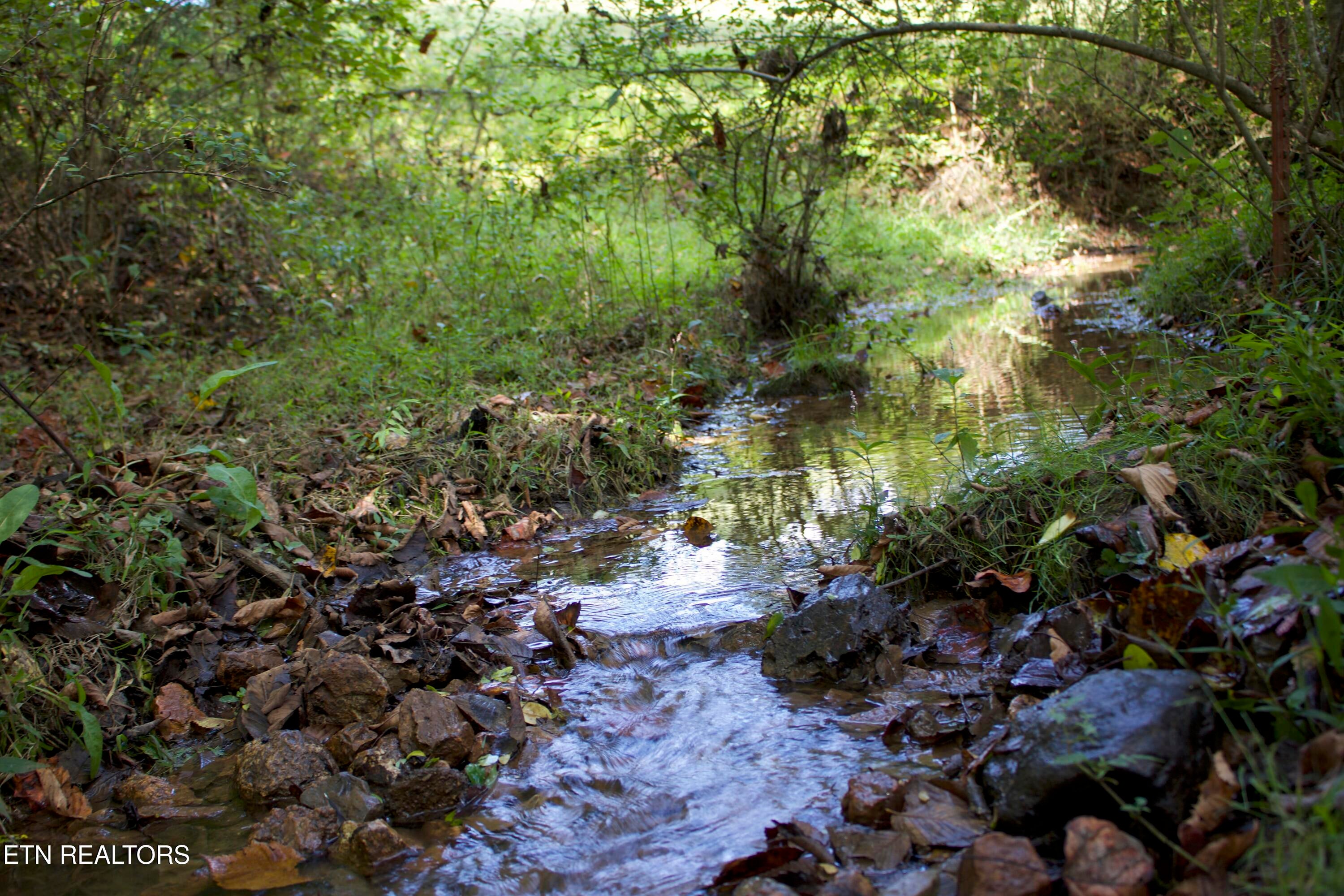 Maryville, Tennessee, 37804, United States, 2 Bedrooms Bedrooms, ,1 BathroomBathrooms,Residential,Active,1945541