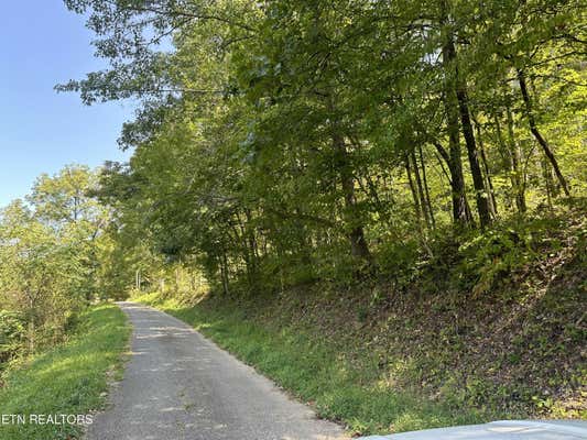 LOW GAP RD, LAFOLLETTE, TN 37766 - Image 1