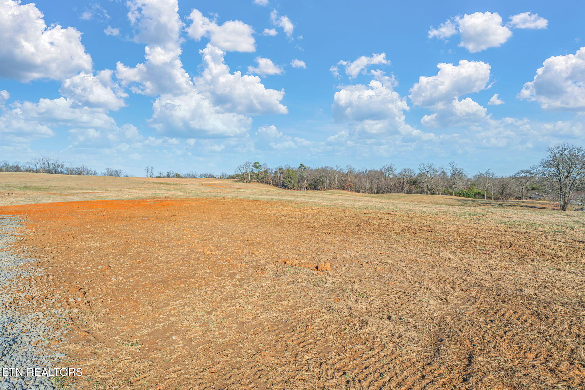 Strawberry Plains, Tennessee, 37871, United States, 3 Bedrooms Bedrooms, ,2 BathroomsBathrooms,Residential,Active,2007043