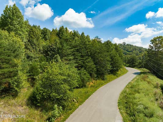 CLEAR WATER RD, NEW TAZEWELL, TN 37825 - Image 1