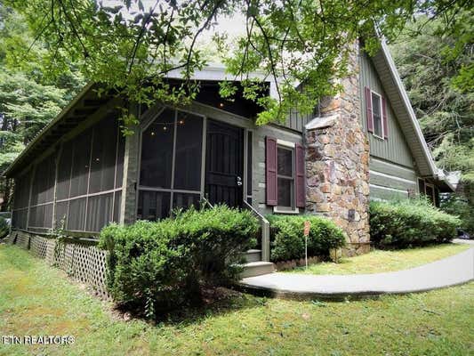 119 MISTY WAY, COSBY, TN 37722 - Image 1