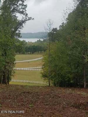 369 WALKING HORSE TRL, ROCKWOOD, TN 37854 - Image 1