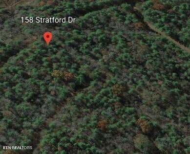 158 STRATFORD DR, CROSSVILLE, TN 38558 - Image 1