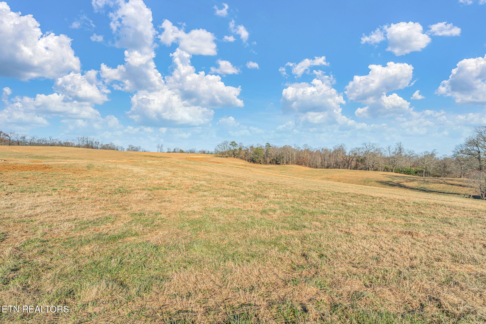 Strawberry Plains, Tennessee, 37871, United States, 3 Bedrooms Bedrooms, ,2 BathroomsBathrooms,Residential,Active,2007043