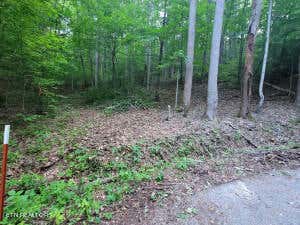 LOT 13 CARA WAY, COSBY, TN 37722 - Image 1