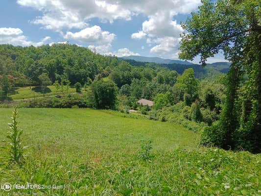 HOLLY MOUNTAIN WAY, HARTFORD, TN 37753 - Image 1